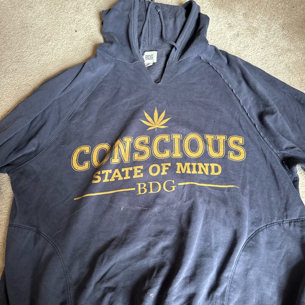 urban outfitters hoodie size large